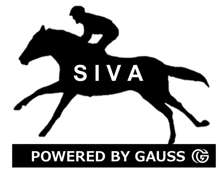 SIVAはスポーツニッポン新聞社が運営しているサイト